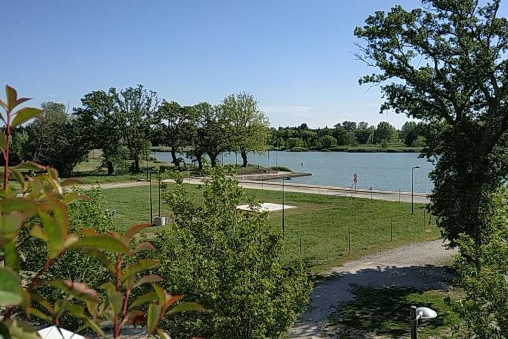 Appartement Climatise Au Coeur De La Provence Lac Et Parcs D'Attractions 10Mn Avignon Monteux Eksteriør billede